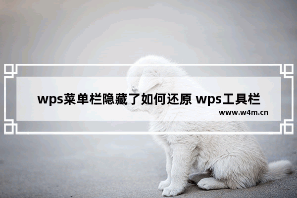 wps菜单栏隐藏了如何还原 wps工具栏自动隐藏恢复教程攻略大全