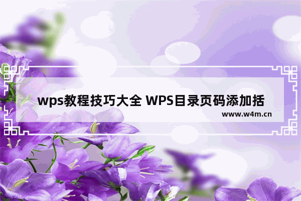 wps教程技巧大全 WPS目录页码添加括号教程