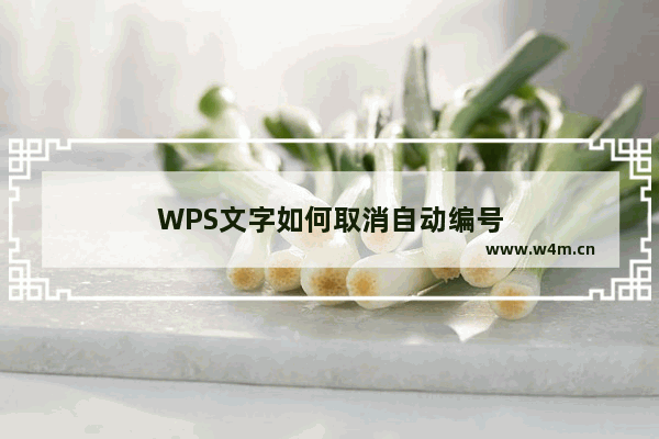 WPS文字如何取消自动编号