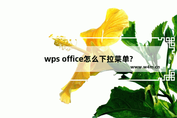 wps office怎么下拉菜单?