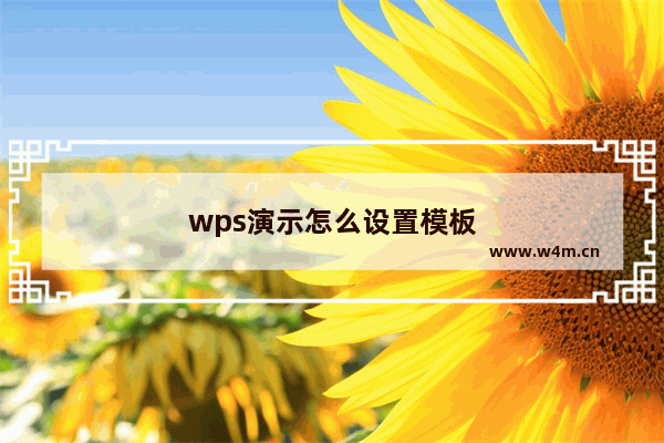 wps演示怎么设置模板