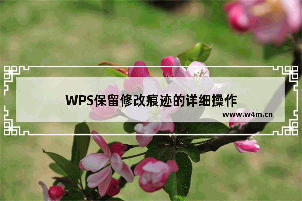 WPS保留修改痕迹的详细操作