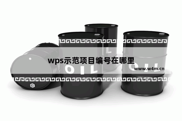 wps示范项目编号在哪里