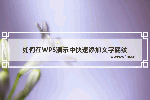 如何在WPS演示中快速添加文字底纹