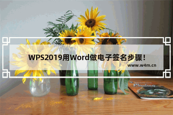 WPS2019用Word做电子签名步骤！