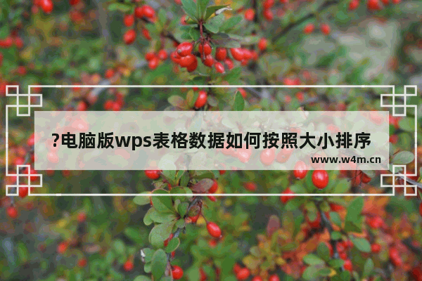 ?电脑版wps表格数据如何按照大小排序