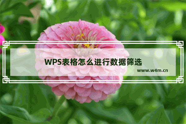 WPS表格怎么进行数据筛选