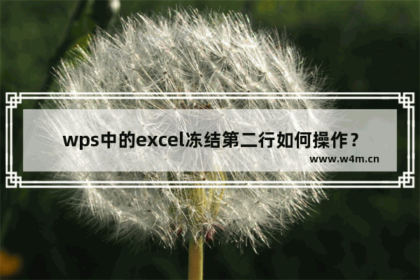 wps中的excel冻结第二行如何操作？