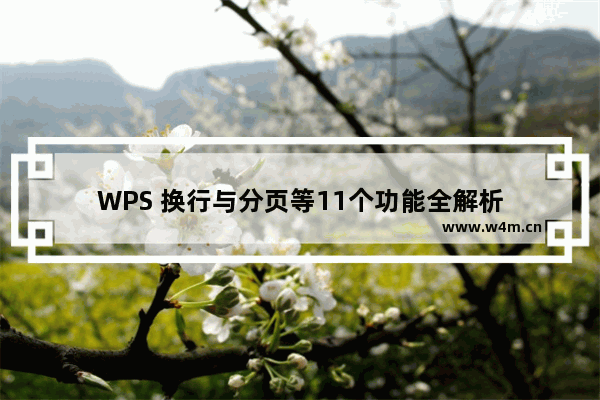 WPS 换行与分页等11个功能全解析