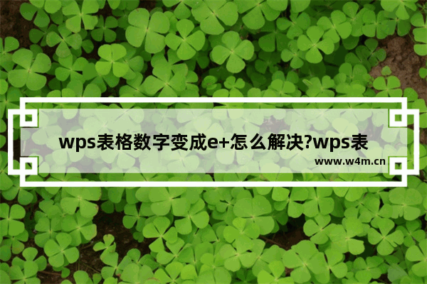 wps表格数字变成e+怎么解决?wps表格数字变成e+解决办法介绍