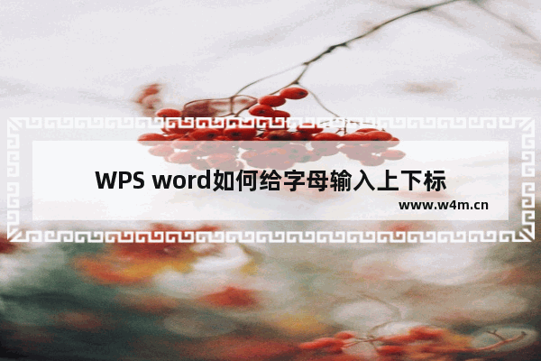 WPS word如何给字母输入上下标