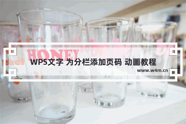 WPS文字 为分栏添加页码 动画教程