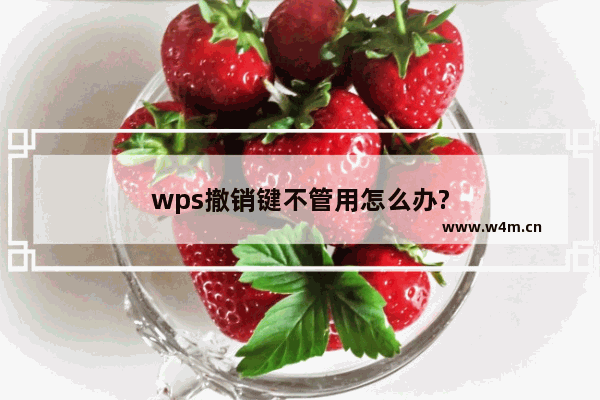 wps撤销键不管用怎么办?