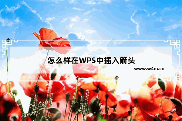 怎么样在WPS中插入箭头