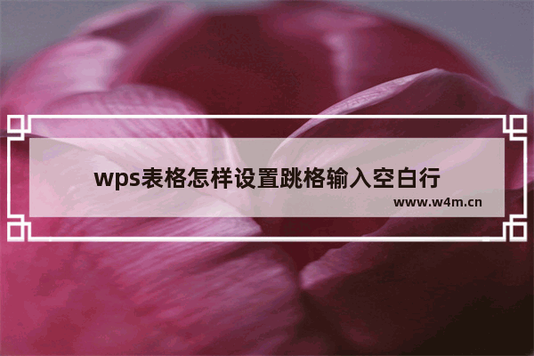 wps表格怎样设置跳格输入空白行