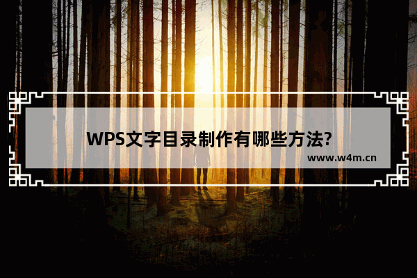 WPS文字目录制作有哪些方法?