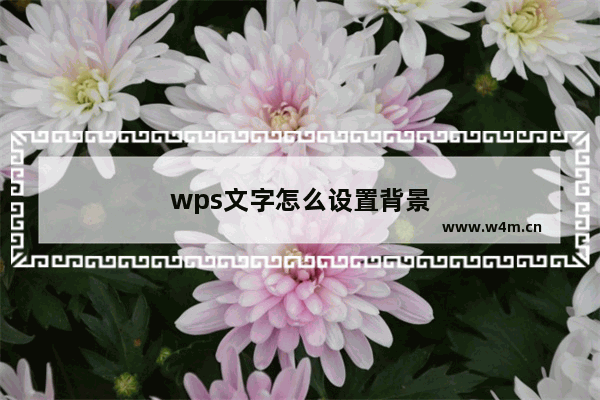 wps文字怎么设置背景