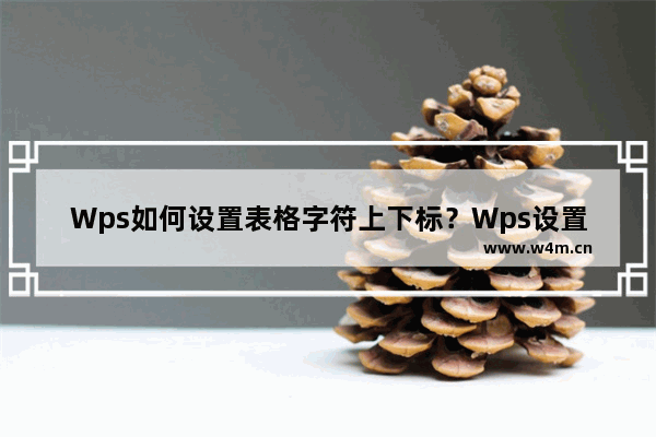 Wps如何设置表格字符上下标？Wps设置表格字符上下标的方法