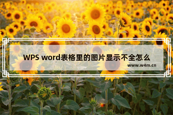 WPS word表格里的图片显示不全怎么解决