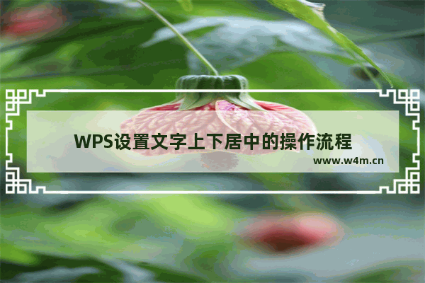 WPS设置文字上下居中的操作流程