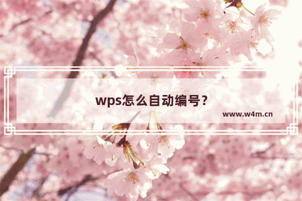 wps怎么自动编号？