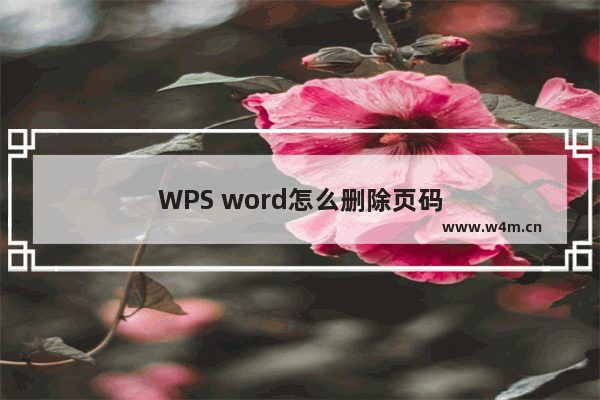 WPS word怎么删除页码