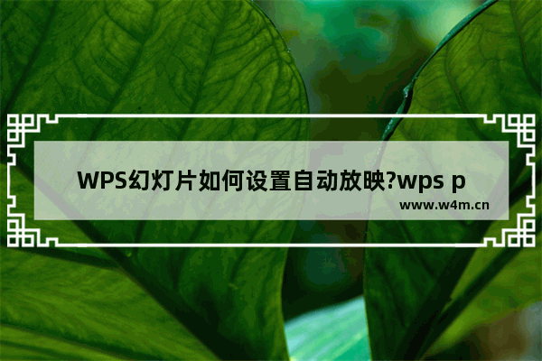 WPS幻灯片如何设置自动放映?wps ppt设置自动播放的方法