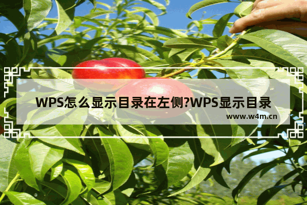 WPS怎么显示目录在左侧?WPS显示目录在左侧方法