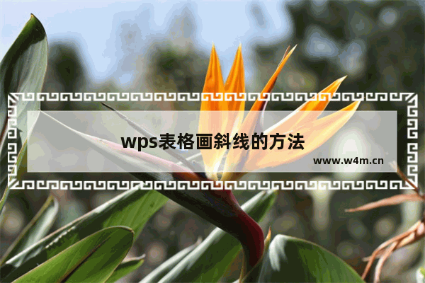 wps表格画斜线的方法