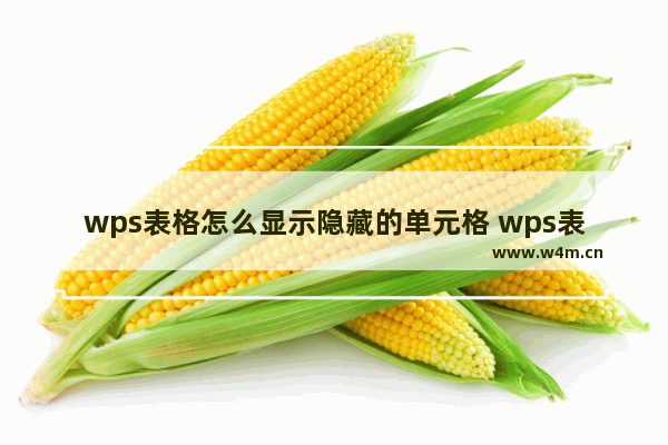 wps表格怎么显示隐藏的单元格 wps表格显示隐藏的单元格内容的方法