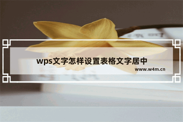 wps文字怎样设置表格文字居中