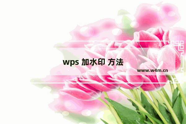 wps 加水印 方法