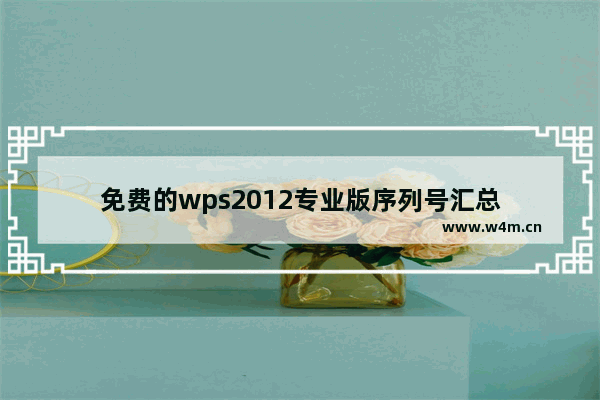 免费的wps2012专业版序列号汇总