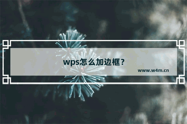 wps怎么加边框？