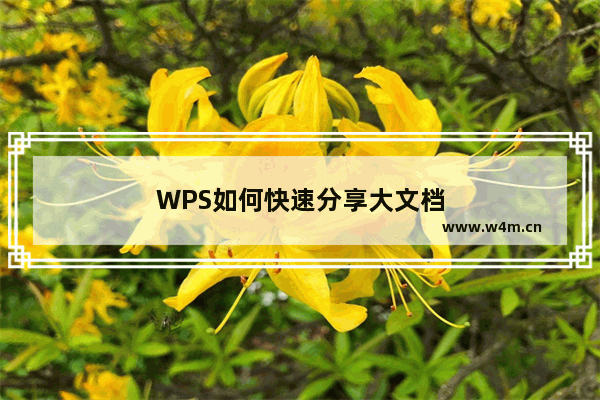 WPS如何快速分享大文档