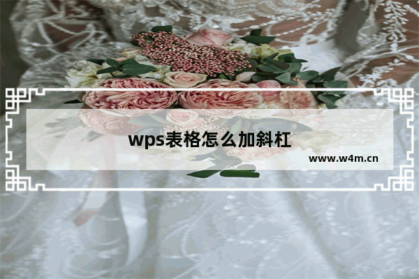 wps表格怎么加斜杠