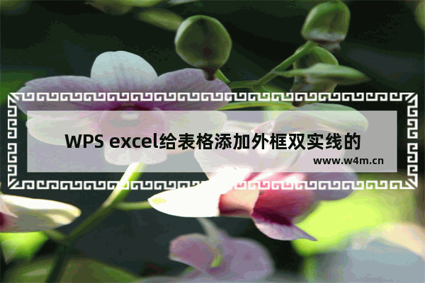 WPS excel给表格添加外框双实线的方法