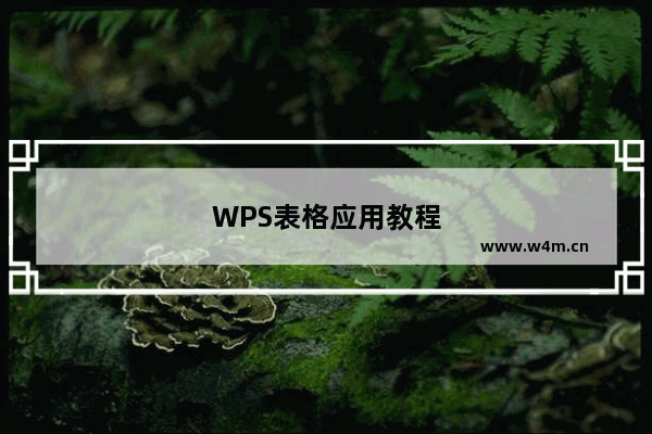 WPS表格应用教程