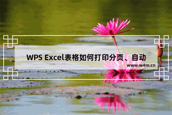 WPS Excel表格如何打印分页、自动分页、取消分页