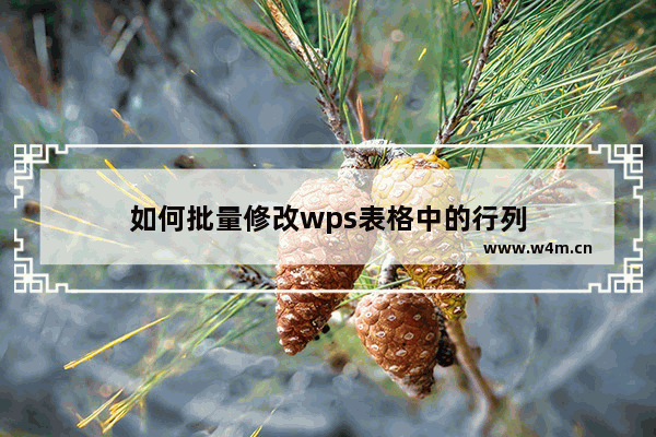 如何批量修改wps表格中的行列