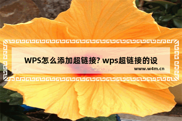 WPS怎么添加超链接? wps超链接的设置方法