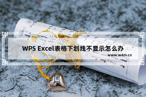 WPS Excel表格下划线不显示怎么办