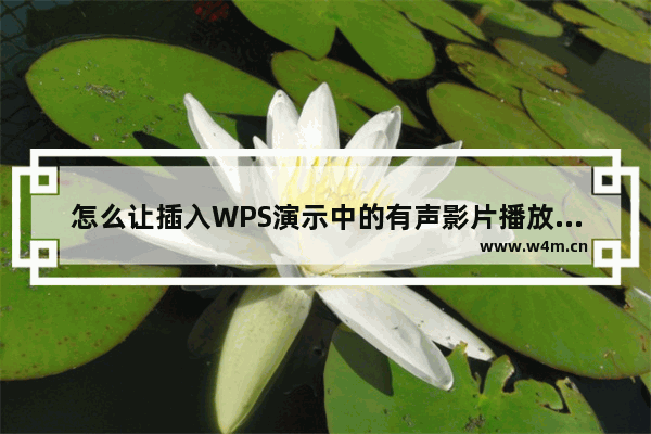 怎么让插入WPS演示中的有声影片播放时不发声？怎么做