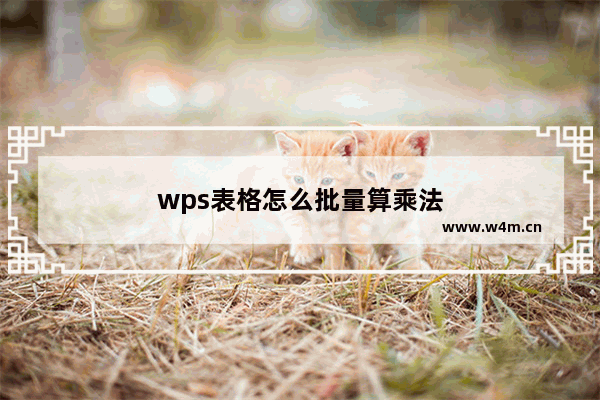 wps表格怎么批量算乘法