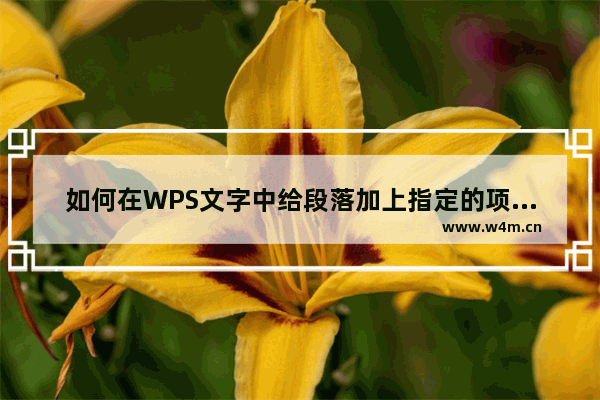 如何在WPS文字中给段落加上指定的项目符号