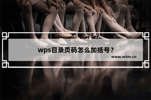 wps目录页码怎么加括号？