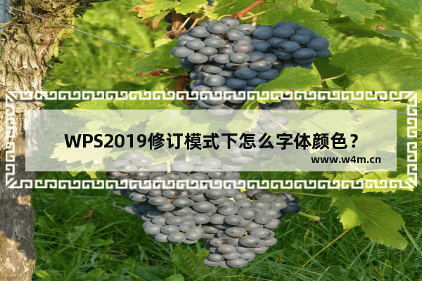 WPS2019修订模式下怎么字体颜色？