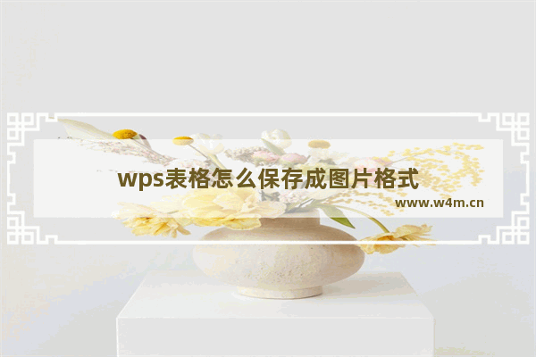 wps表格怎么保存成图片格式