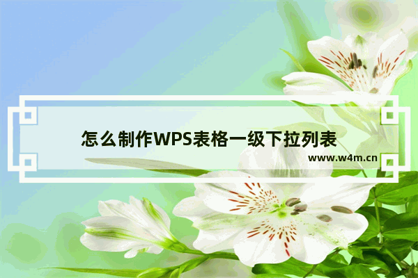 怎么制作WPS表格一级下拉列表