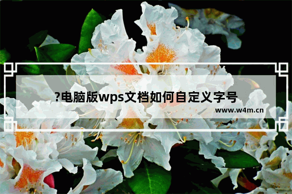 ?电脑版wps文档如何自定义字号